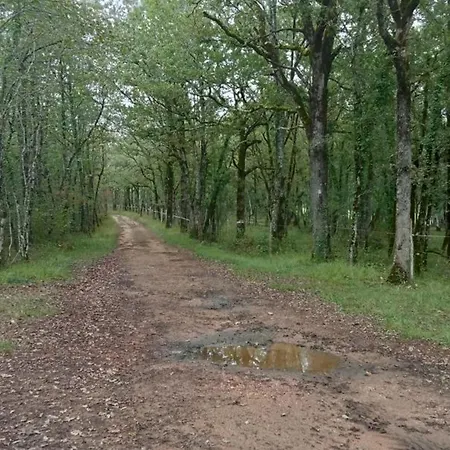 Casa vacanze Maison Rénovée Paisible Près Lalinde, Grand Jardin - Fr-1-616-21